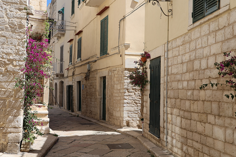 img 2718 - Revista Estilo Zaffari img 2718 - Revista Estilo Zaffari