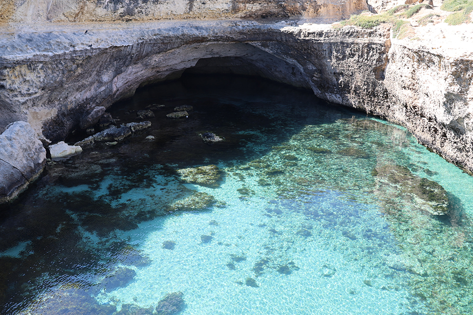 img 3111 - Revista Estilo Zaffari img 3111 - Revista Estilo Zaffari