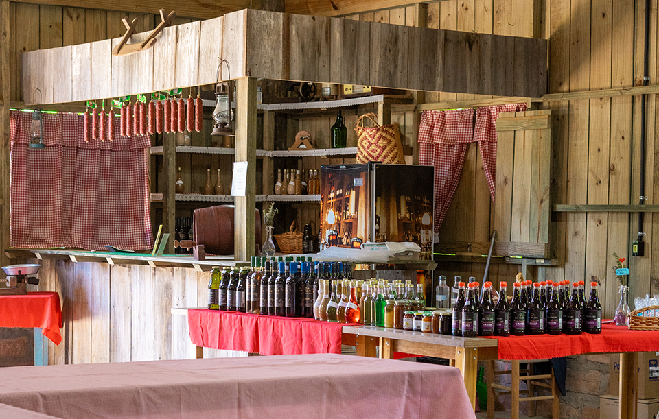 masto 0035 1 - Revista Estilo Zaffari