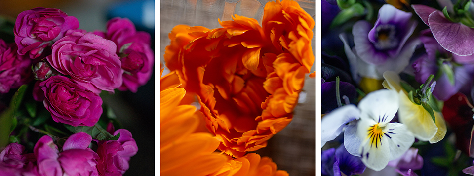 flores 4 1 - Revista Estilo Zaffari flores 4 1 - Revista Estilo Zaffari