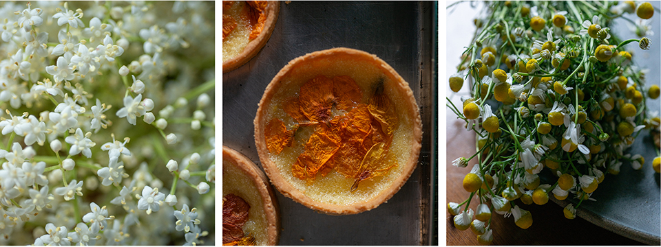 flores 5 - Revista Estilo Zaffari flores 5 - Revista Estilo Zaffari