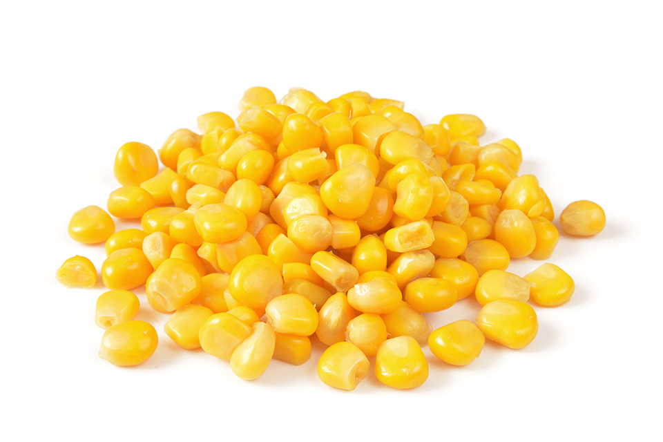 milho 3 - Revista Estilo Zaffari