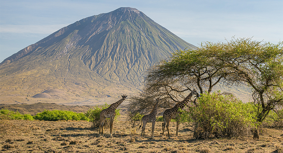 tanzania 3 a - Revista Estilo Zaffari