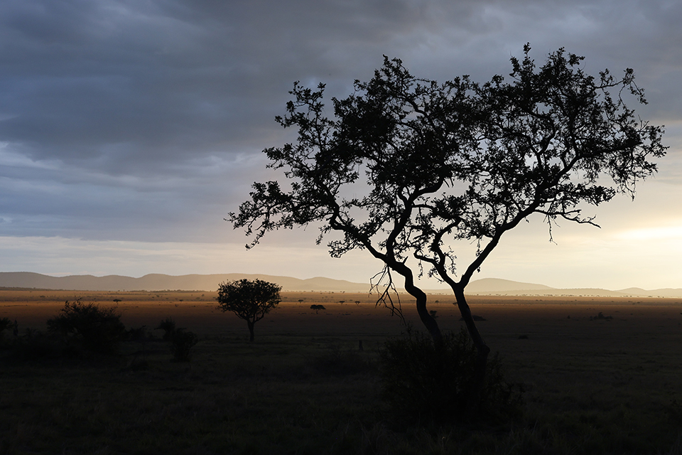 tanzania 4 - Revista Estilo Zaffari