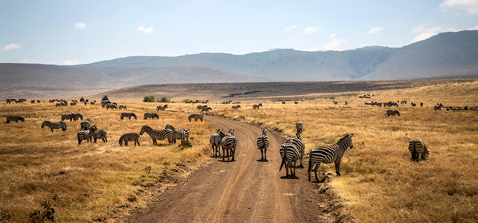 tanzania 9 1 - Revista Estilo Zaffari