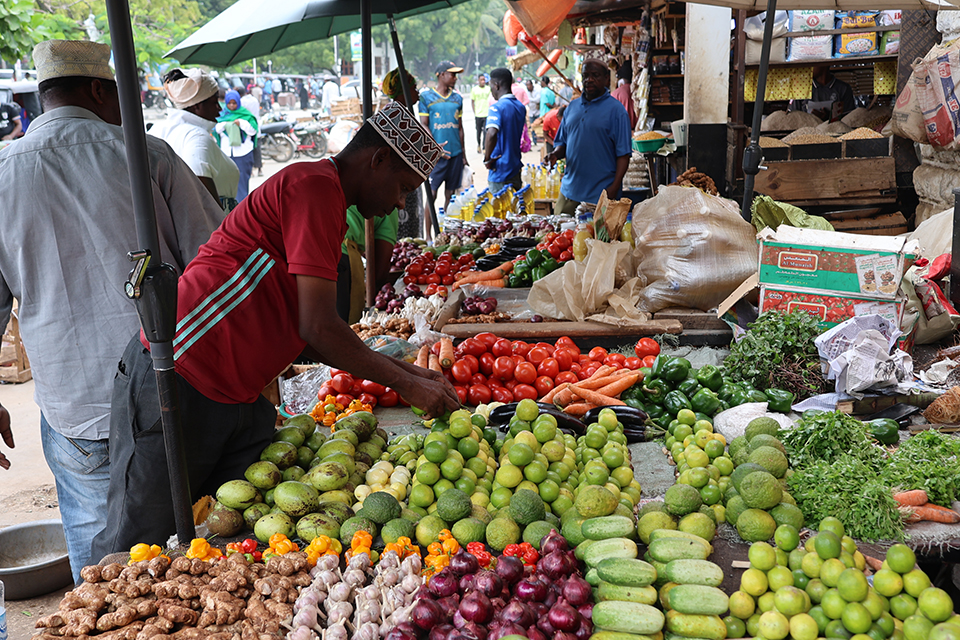 zanzibar 3 - Revista Estilo Zaffari