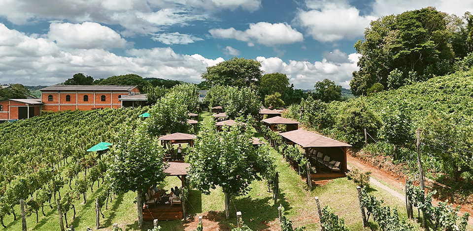 laurentis 3 1 - Revista Estilo Zaffari laurentis 3 1 - Revista Estilo Zaffari