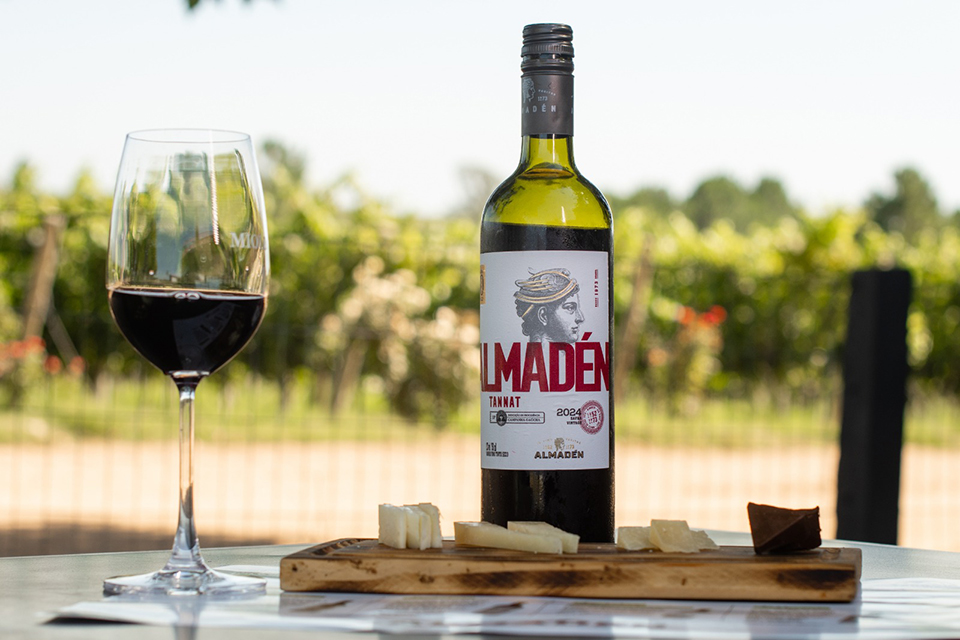 tannatexper1a 1 - Revista Estilo Zaffari tannatexper1a 1 - Revista Estilo Zaffari