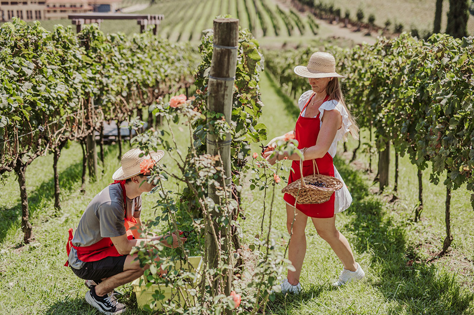 vale2a - Revista Estilo Zaffari