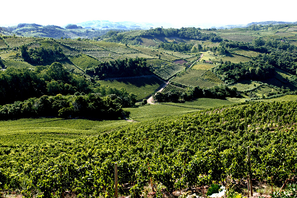 vale4a - Revista Estilo Zaffari