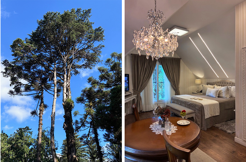 ritta 3 - Revista Estilo Zaffari