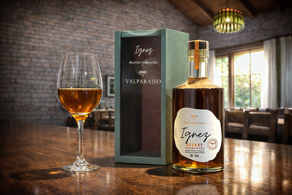 brandy 1ajpg 2 - Revista Estilo Zaffari brandy 1ajpg 2 - Revista Estilo Zaffari