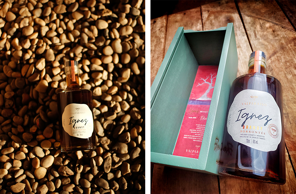 brandy 3jpg 1 - Revista Estilo Zaffari brandy 3jpg 1 - Revista Estilo Zaffari