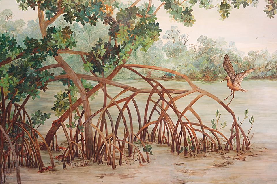 mata adentro 4 - Revista Estilo Zaffari