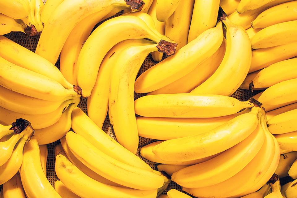 banana 4 - Revista Estilo Zaffari