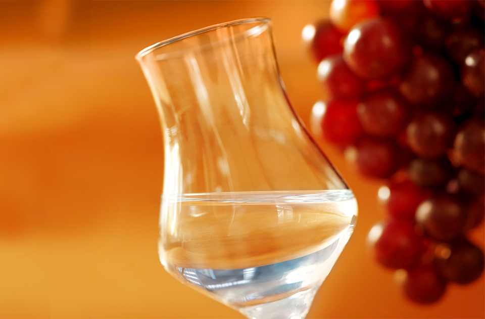 pisco 6 - Revista Estilo Zaffari pisco 6 - Revista Estilo Zaffari