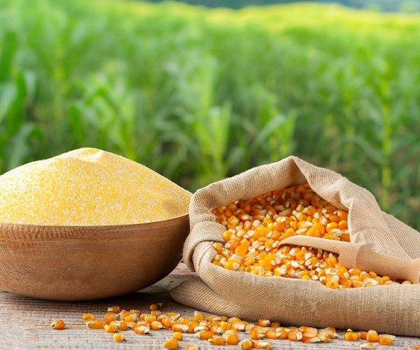 AdobeStock_625759445