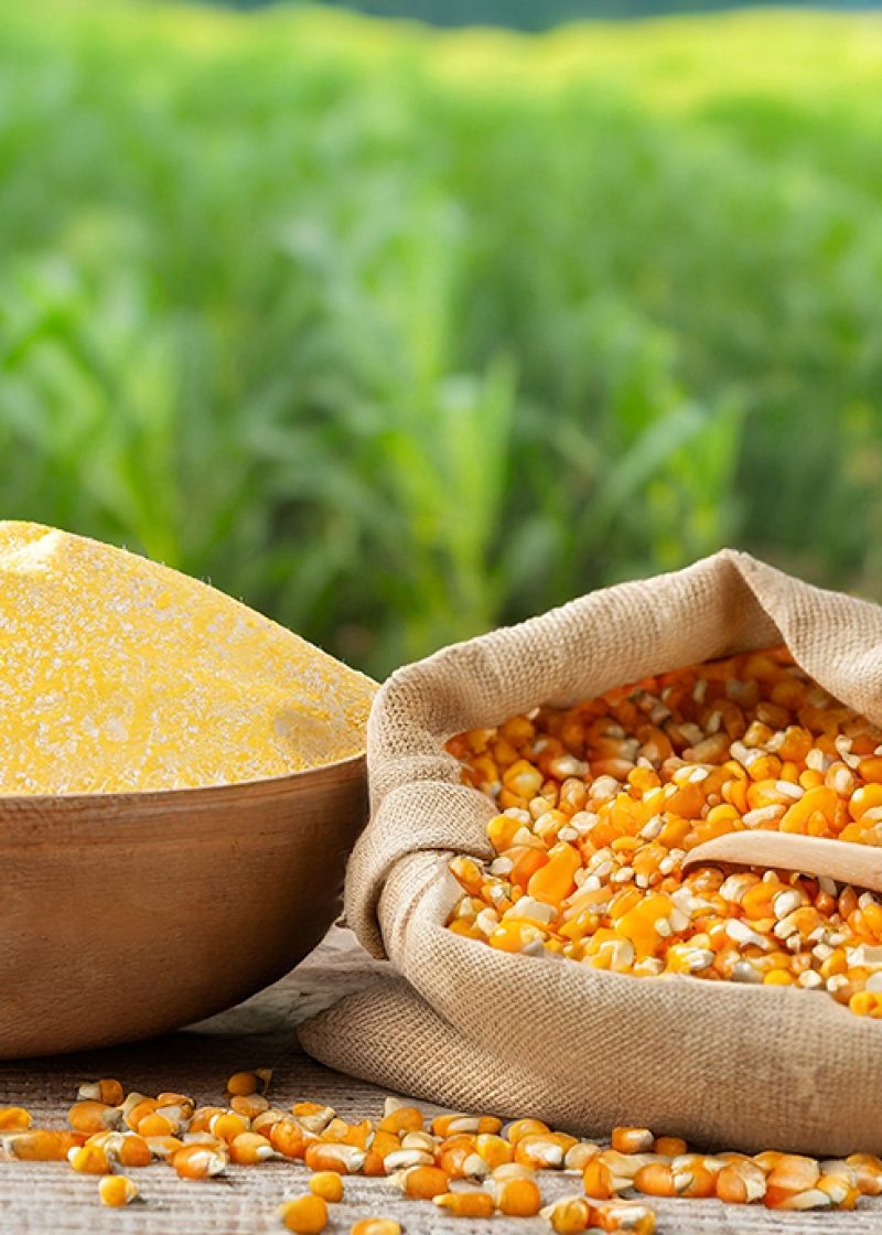 AdobeStock_625759445