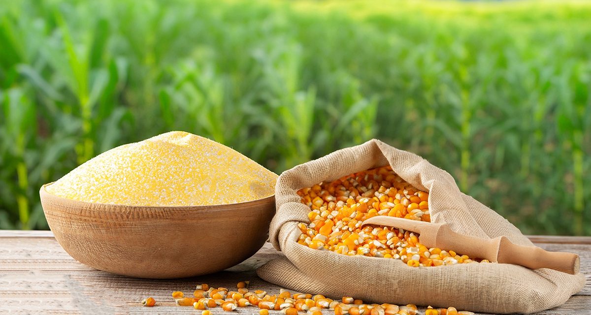 AdobeStock_625759445