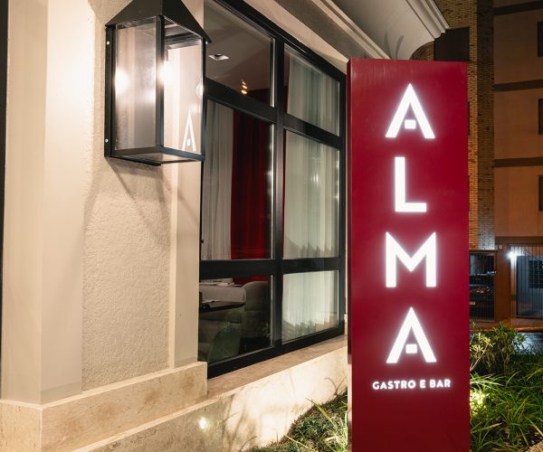 ALMA 1