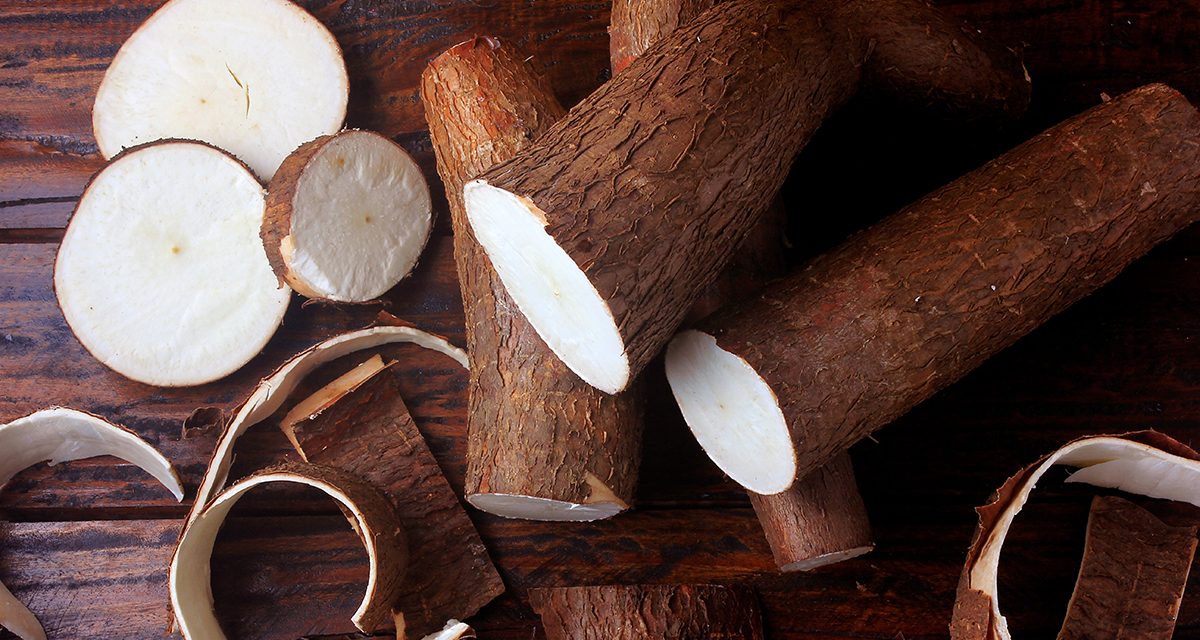 fresh cassava and peels and slices on rustic wooden table. Top view