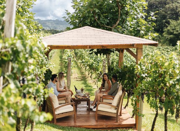 Edited in Tezza with: Exposure, Crisp, & Sharpen