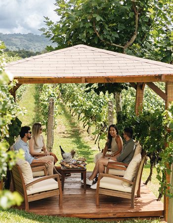 Edited in Tezza with: Exposure, Crisp, & Sharpen