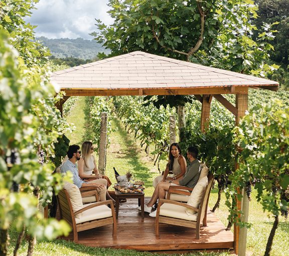 Edited in Tezza with: Exposure, Crisp, & Sharpen