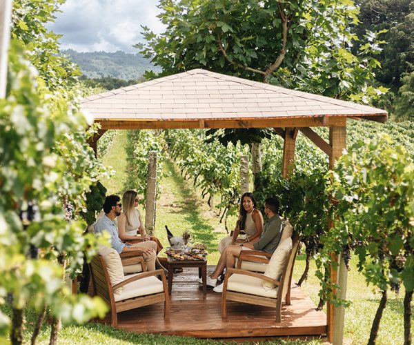 Edited in Tezza with: Exposure, Crisp, & Sharpen