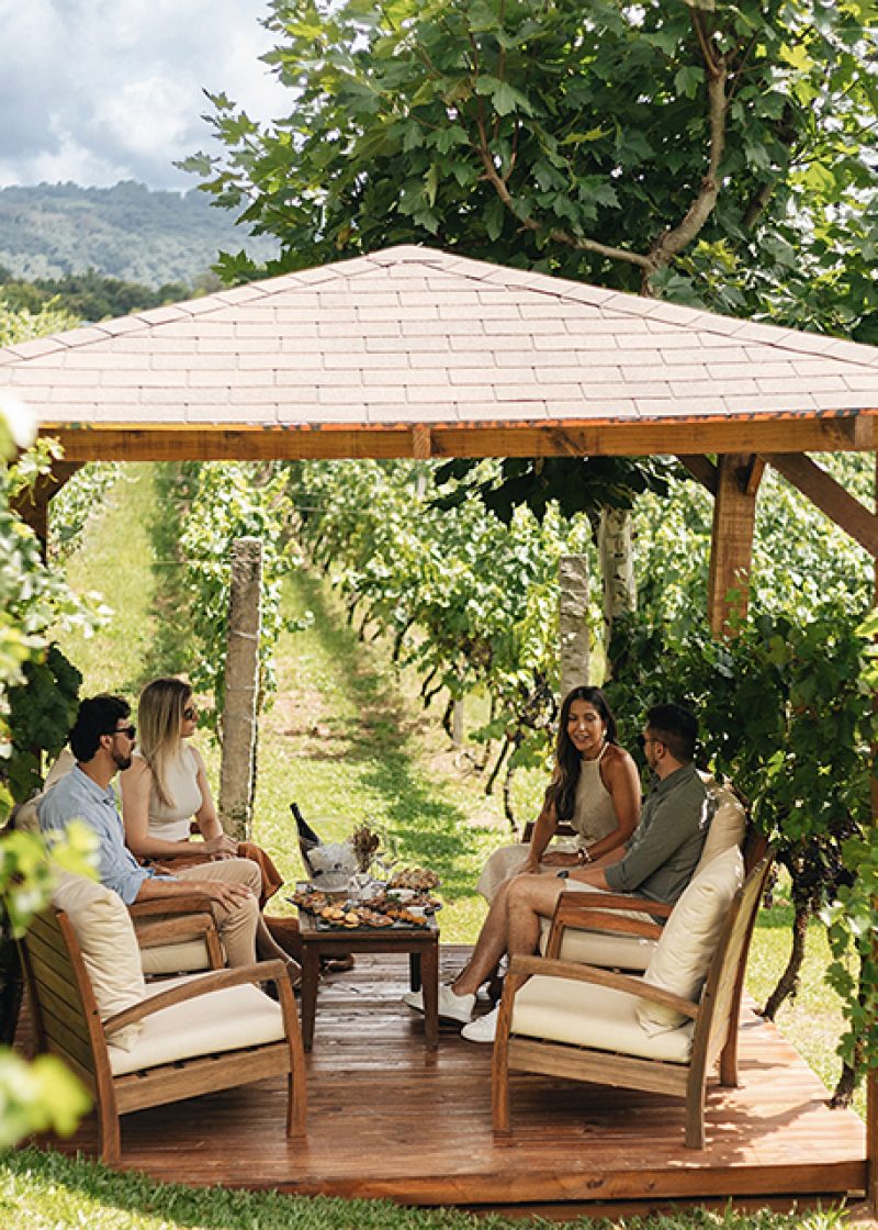 Edited in Tezza with: Exposure, Crisp, & Sharpen