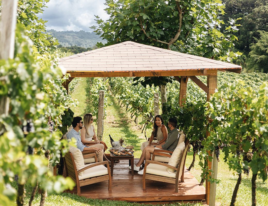 Edited in Tezza with: Exposure, Crisp, & Sharpen