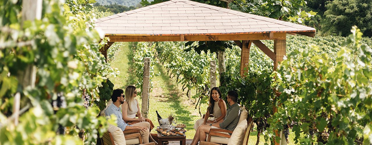 Edited in Tezza with: Exposure, Crisp, & Sharpen