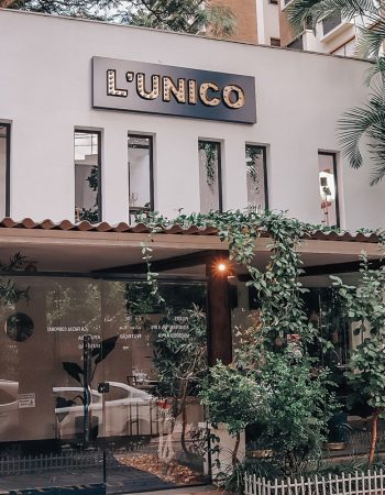 L'unico 1