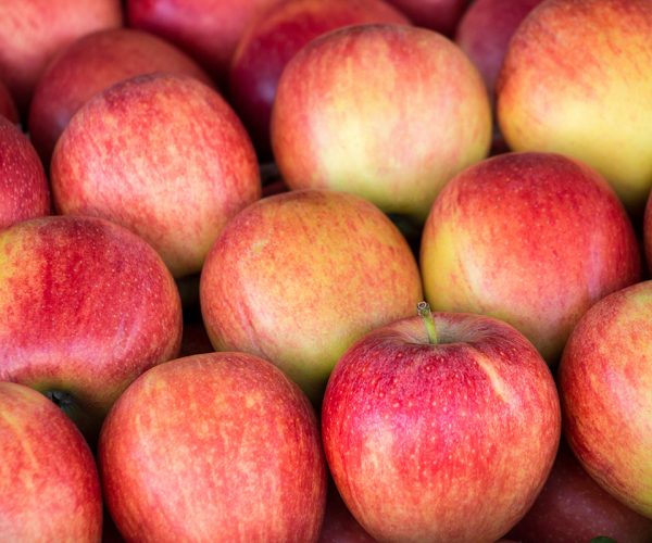 Ripe selected gala apples laid out in rows at a grocery shop for sale. Colorful background of gala apples. Horizontal. Daylight.