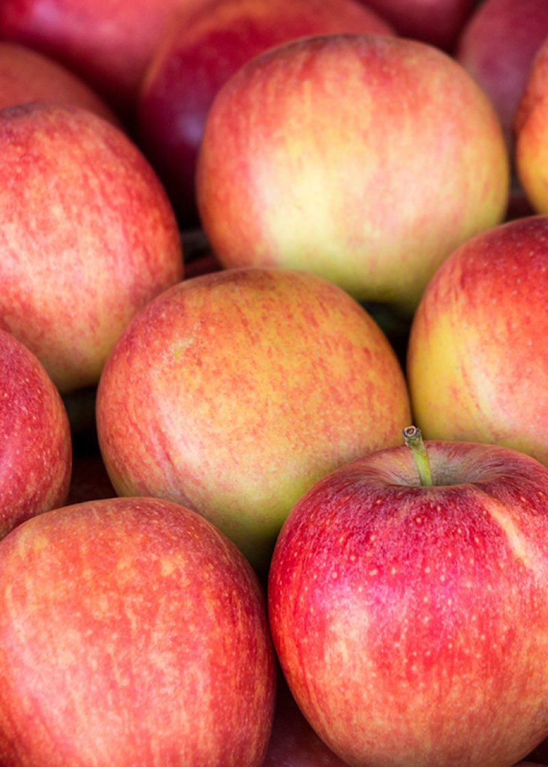 Ripe selected gala apples laid out in rows at a grocery shop for sale. Colorful background of gala apples. Horizontal. Daylight.