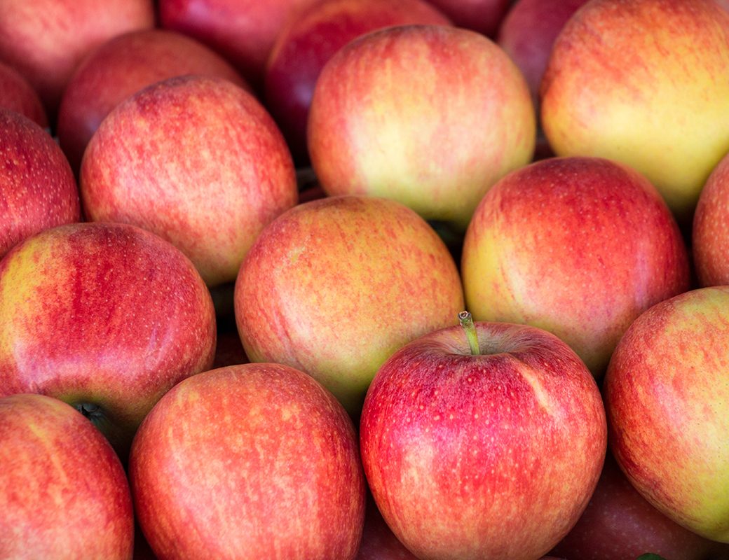 Ripe selected gala apples laid out in rows at a grocery shop for sale. Colorful background of gala apples. Horizontal. Daylight.
