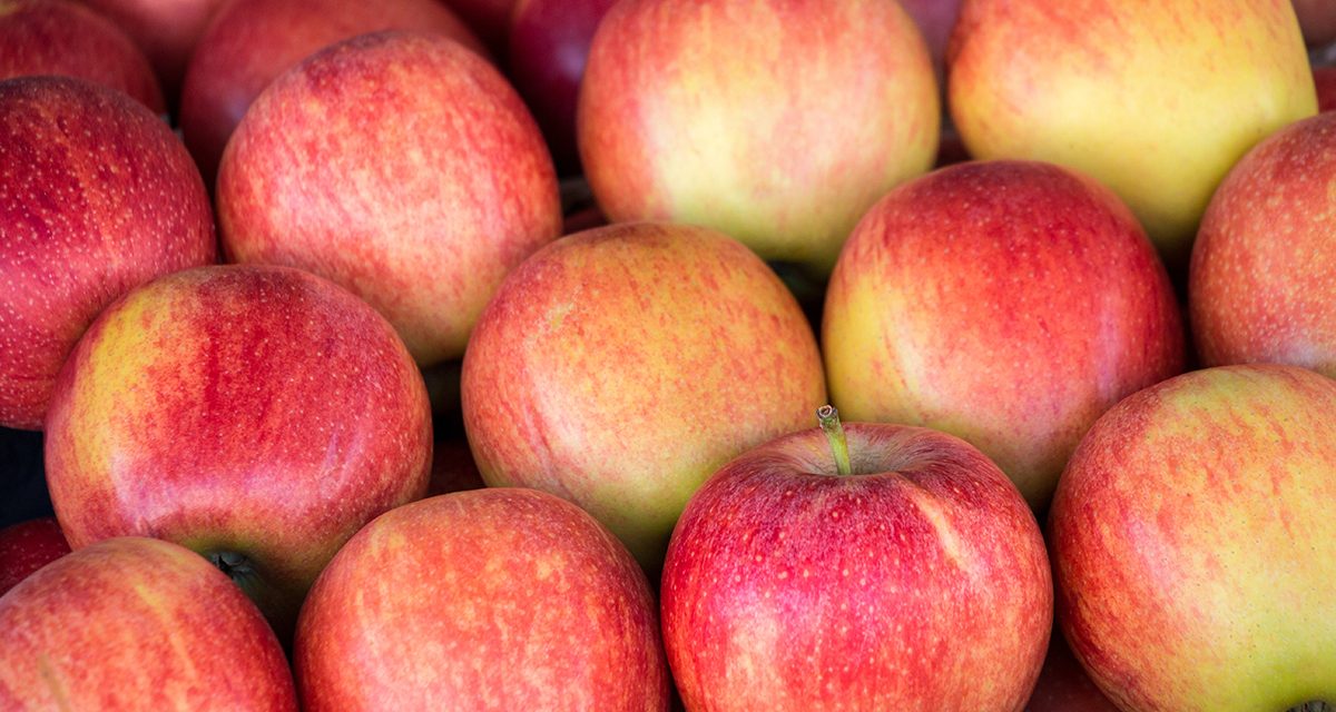 Ripe selected gala apples laid out in rows at a grocery shop for sale. Colorful background of gala apples. Horizontal. Daylight.