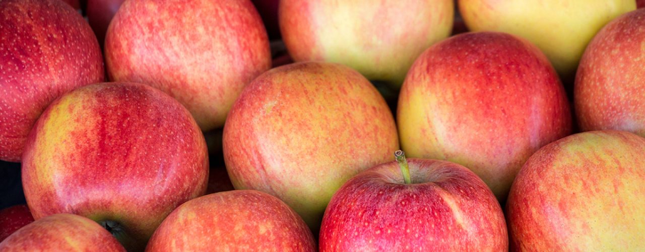 Ripe selected gala apples laid out in rows at a grocery shop for sale. Colorful background of gala apples. Horizontal. Daylight.
